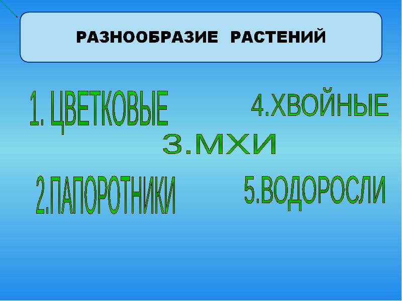 Разнообразие растений 3 класс презентация 3 класс