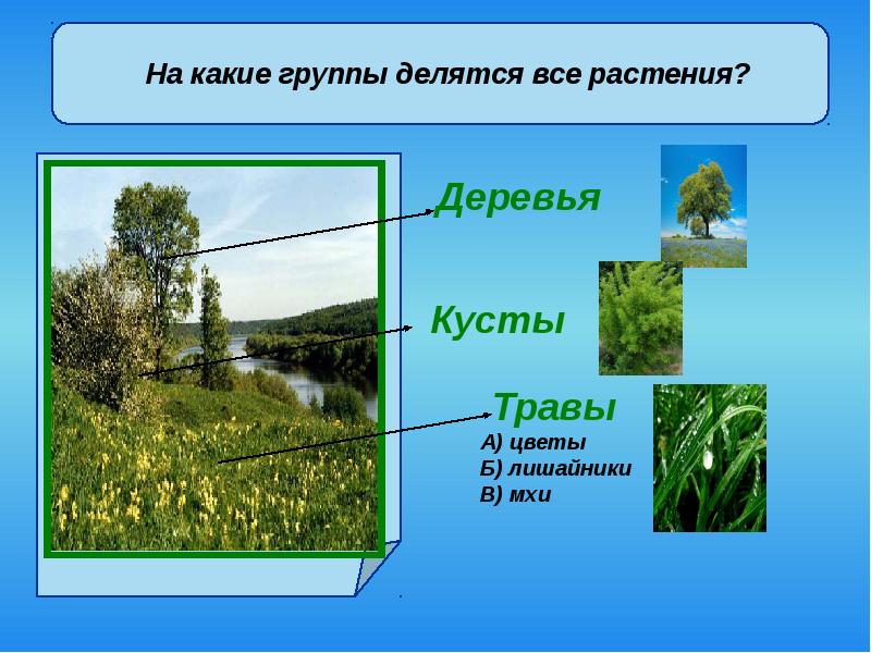 Обобщение окружающий мир 3 класс презентация