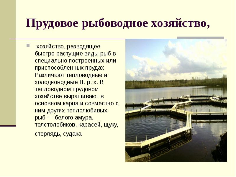 Площадь водоема определить. Площадь водоема определить