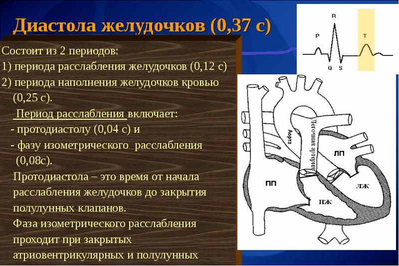 Релаксация желудочков. Давление и сатурация в полостях сердца. Фаза изометрического расслабления сердца. Фаза изометрического сокращения желудочков. Релаксация желудочков.