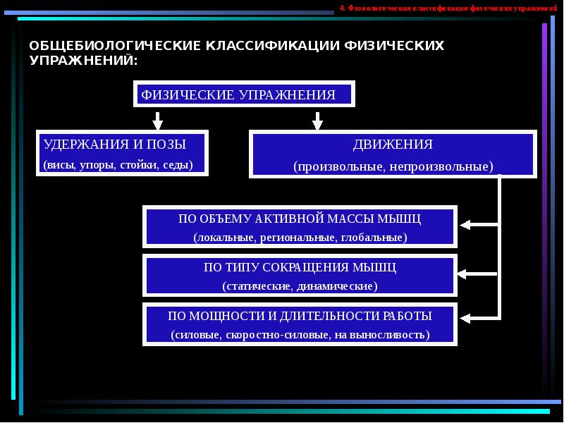 Презентация классификация физических упражнений