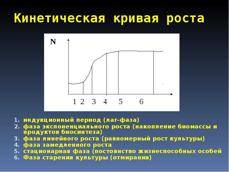 Равномерный рост