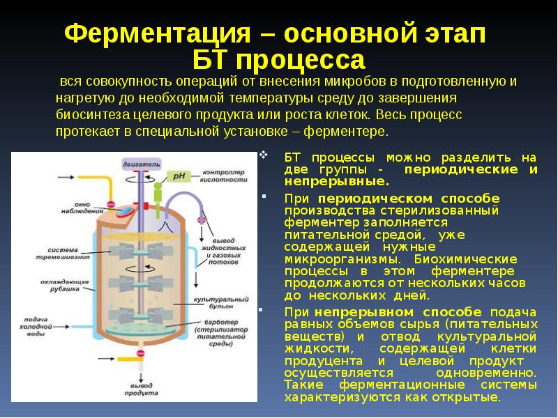 Промышленная микробиология презентация