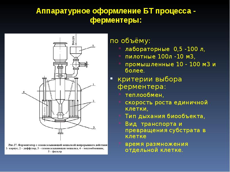 Промышленная микробиология презентация