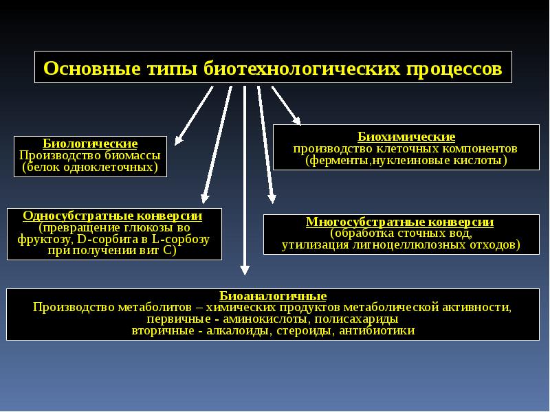 Промышленная микробиология презентация