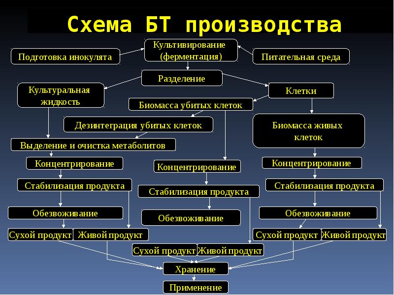 Промышленная микробиология презентация