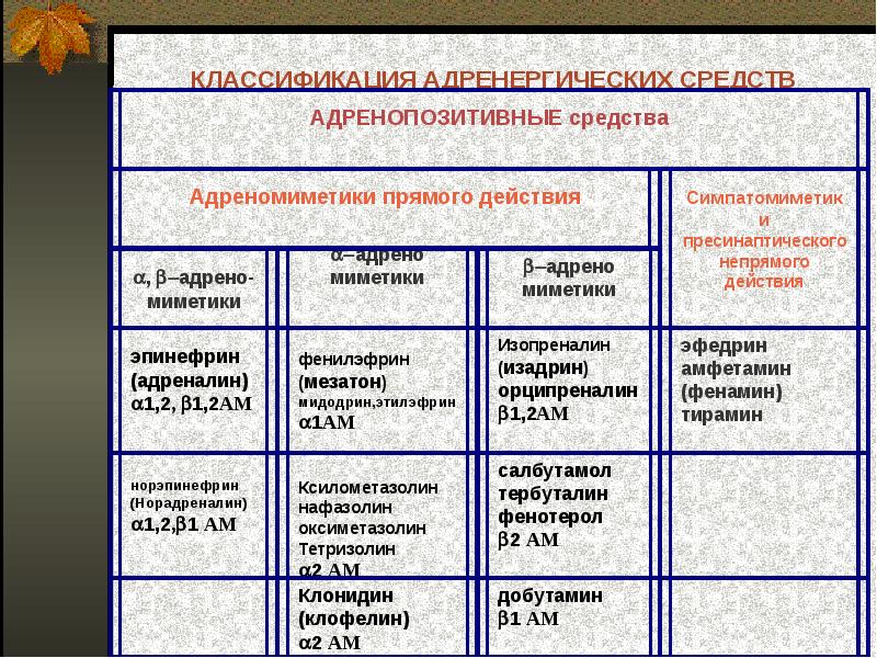 Средства влияющие на синапсы. Вегетотропные средства. Вегетотропные лекарственные средства. Классификация вегетотропных веществ. Адренопозитивные средства классификация.