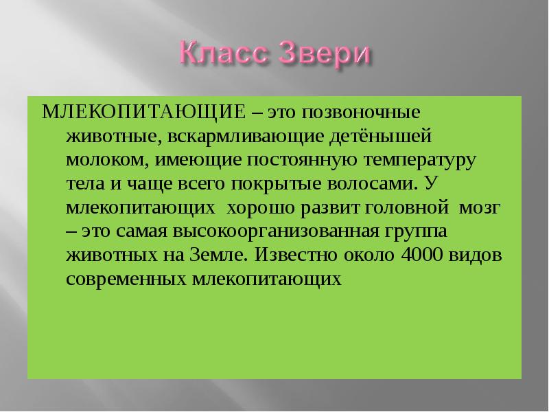 Что такое презентация доклад