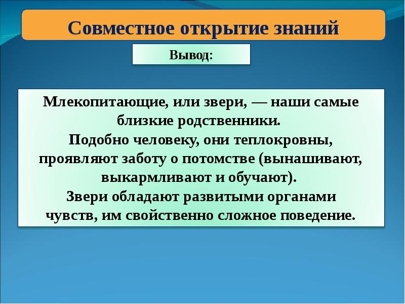 Вывод знаний. Вывод о млекопитающих. Млекопитающие заключение. Вывод о млекопитающих 7 класс. Вывод по млекопитающим 7 класс.