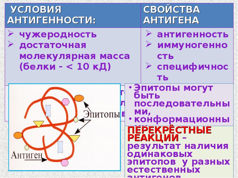 Антигены микробиология презентация