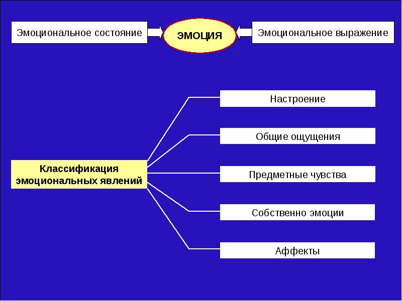 Какую роль играет чувства