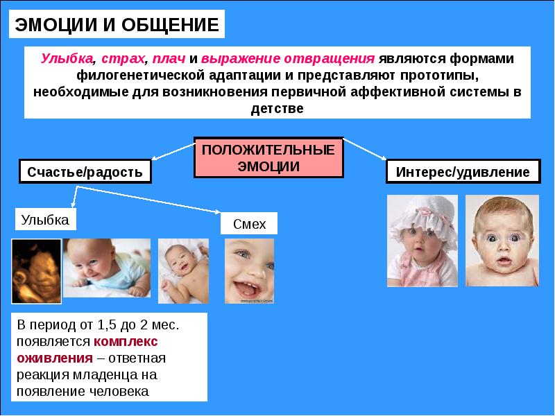 Структурные элементы комплекса оживления