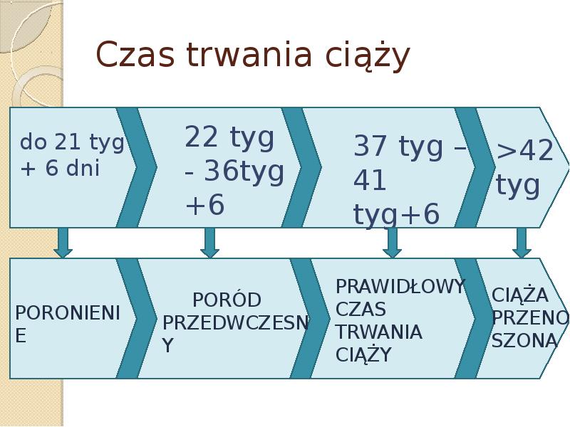 Czas trwania ciąży