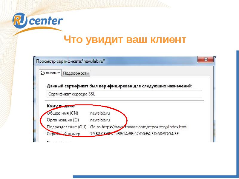 Информация сертификат сервера. Ssl сертификат презентация. слайды сертификатов сервера.