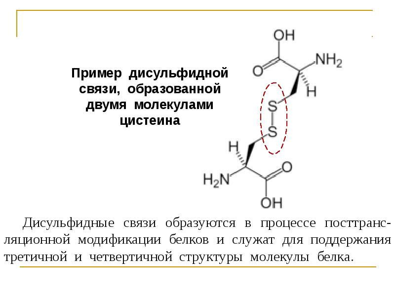 Дисульфидная связь в молекулах