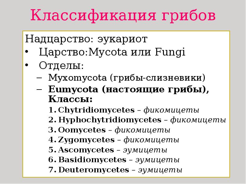 Классификация грибов Надцарство: эукариот Царство:Mycota или Fungi Отделы: Myxomycota (грибы-слизневики) Eumycota