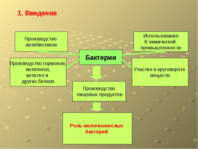 Выбери картинки которые относятся к использованию бактерий человеком