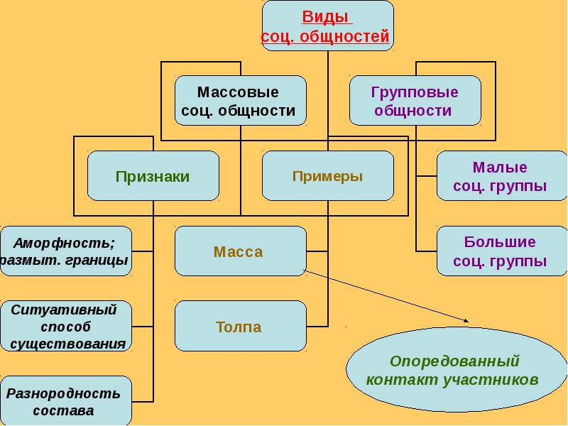 Схема соц группы