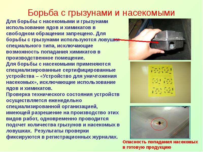 Средства борьбы с бытовыми насекомыми презентация