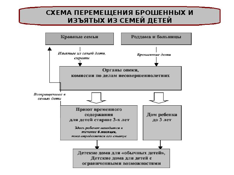 План работы с опекунской семьей