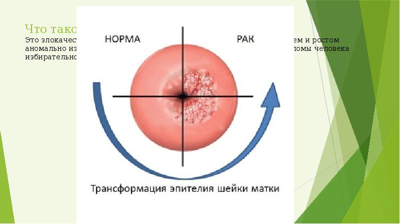 Скрининг рак шейки матки презентация