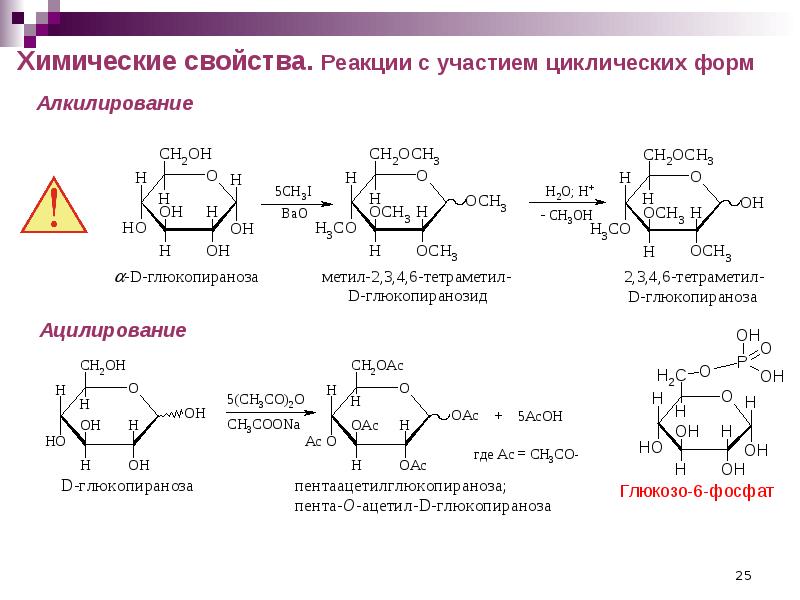 Химические свойства углеводов презентация