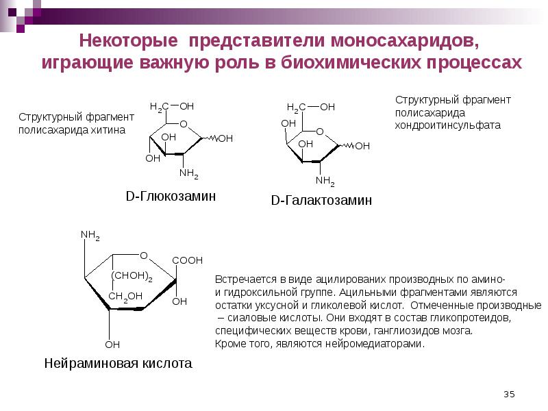 Некоторые представители. Галактозамин биороль. Биологическая роль галактозамина. Роль моносахаридов биохимия. Нейраминовая кислота формула структурная.