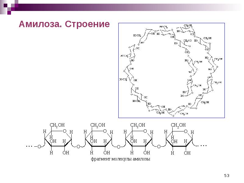 Схема образования амилозы