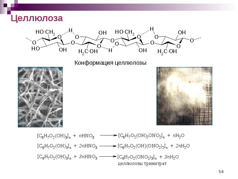 Презентация по химии на тему целлюлоза