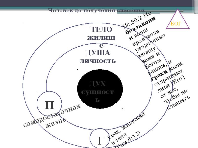 Электронная схема жизни