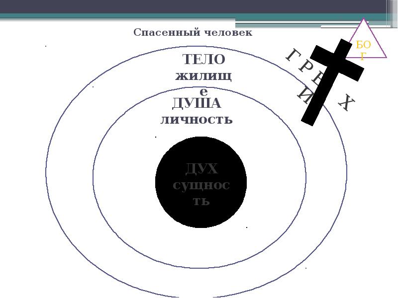 Электронная схема жизни