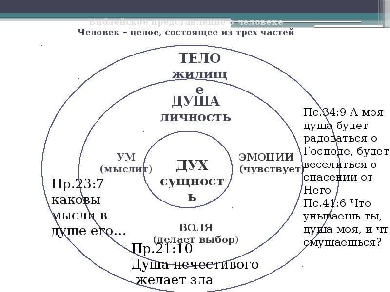 Схема жизни человека