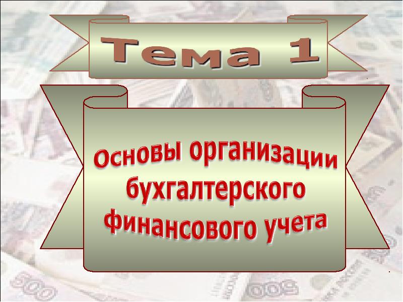 Основы организации бухгалтерского финансового учета