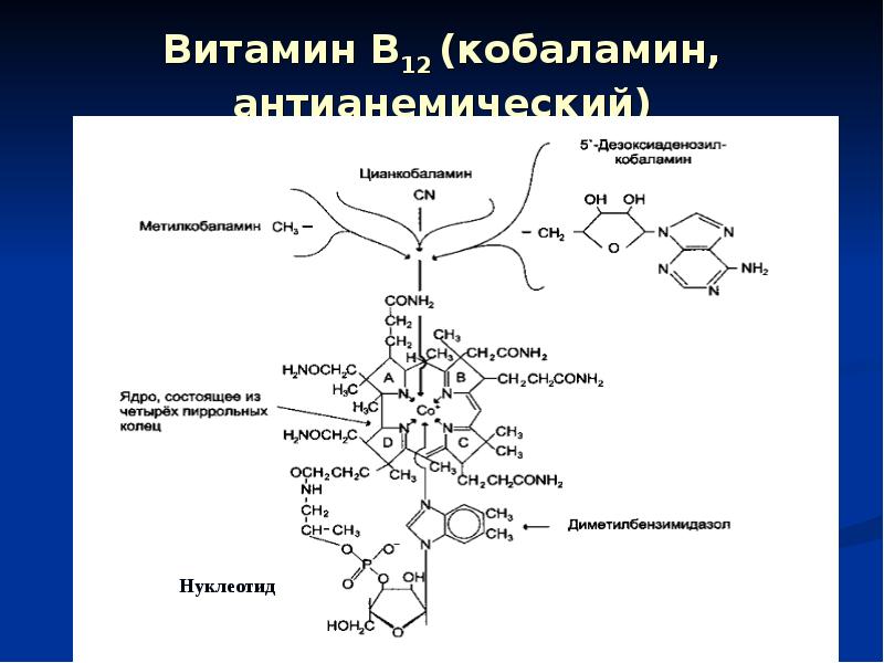 Витамины группы б презентация биохимия