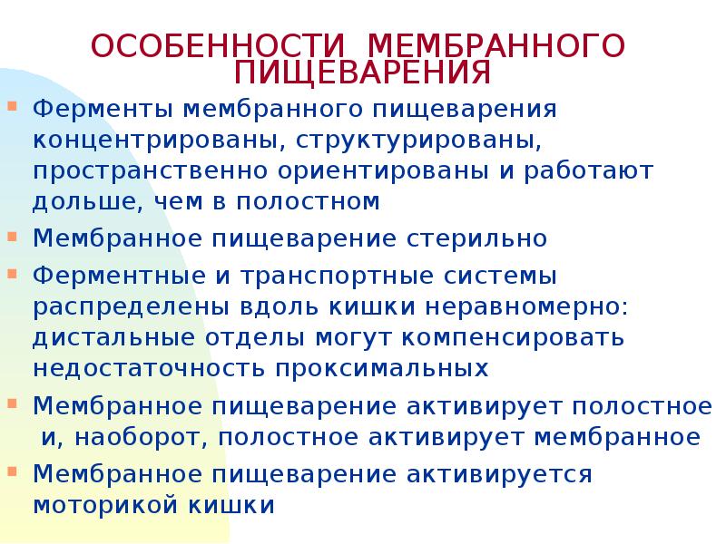 Особенности пищеварительных ферментов