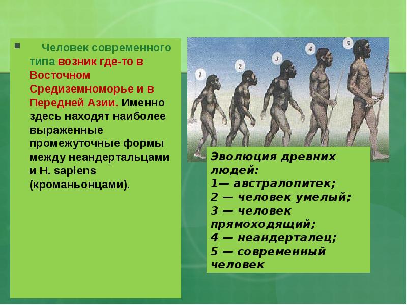 Вид человек разумный. Появление человека современного типа. Когда появился человек современного вида. Человек современного типа появился.