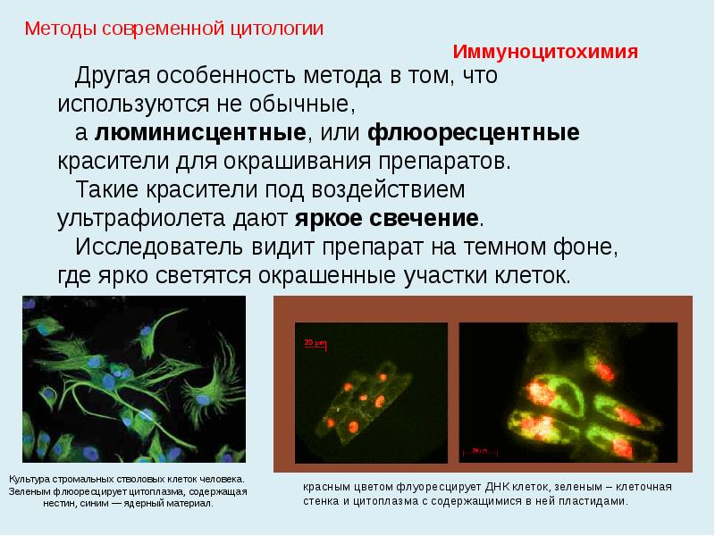 Методы изучения жизнедеятельности клетки 5 класс план сообщения