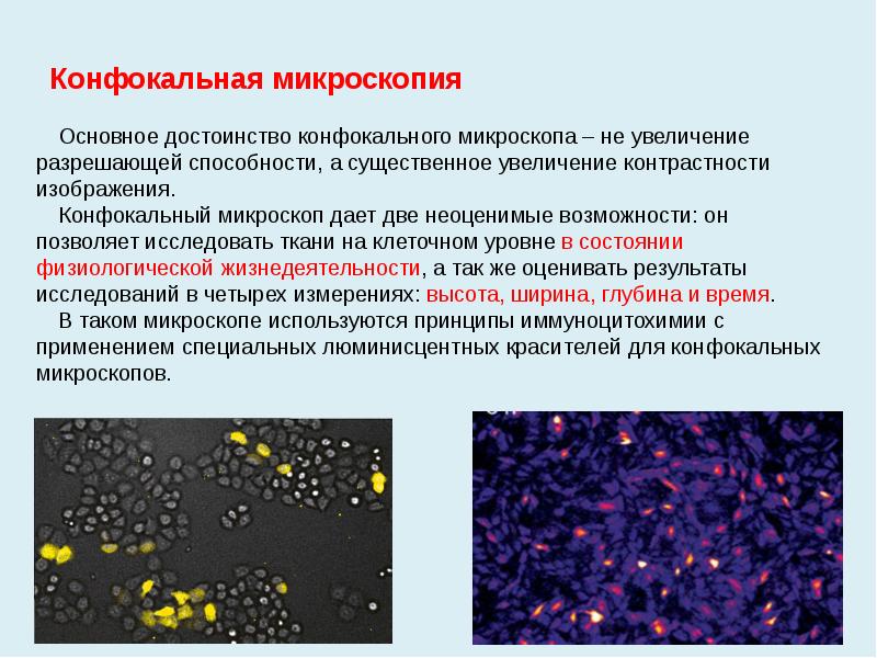 Микроскопия принцип метода