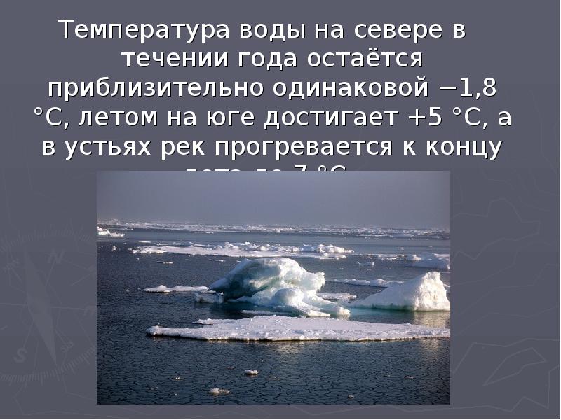 Самое холодное море