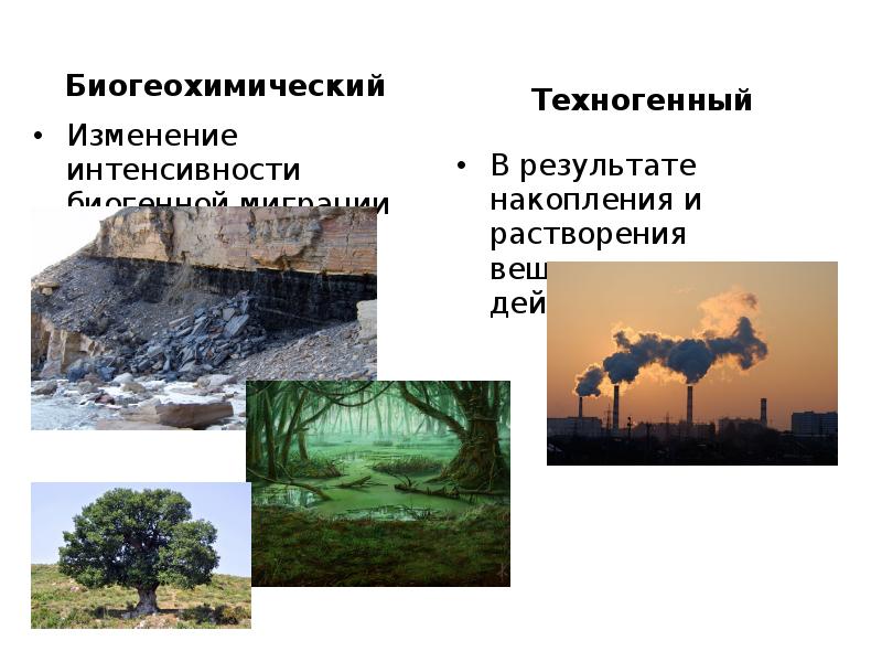 Объекты антропогенного происхождения. Естественные биогеохимические провинции. Техногенные геохимические и биогеохимические провинции. Искусственные биогеохимические провинции. Биогеохимические барьеры в природе.