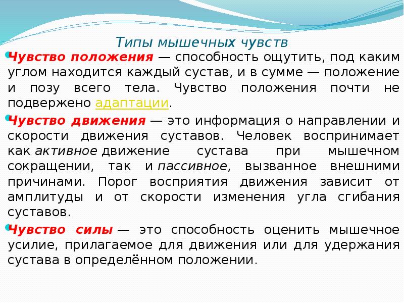 Чувствуйте тип. Типы мышечных чувств. Мышечное чувство кратко. Функции кожно мышечного чувства. Доклад мышечное чувство.