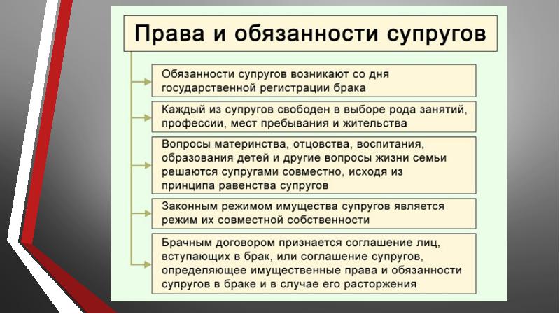 Права и обязанности супругов план егэ