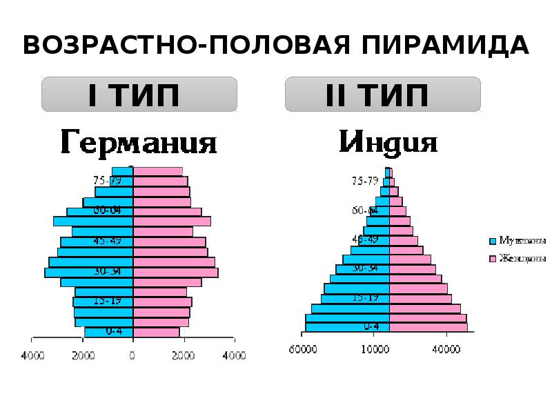 Половая пирамида. Половозрастная пирамида Германии и Индии. Возрастно половая пирамида Германии. Половозрастная пирамида населения Индии. Возрастно половые пирамиды Германии и США.