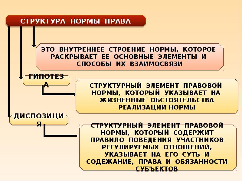 Понятие структура