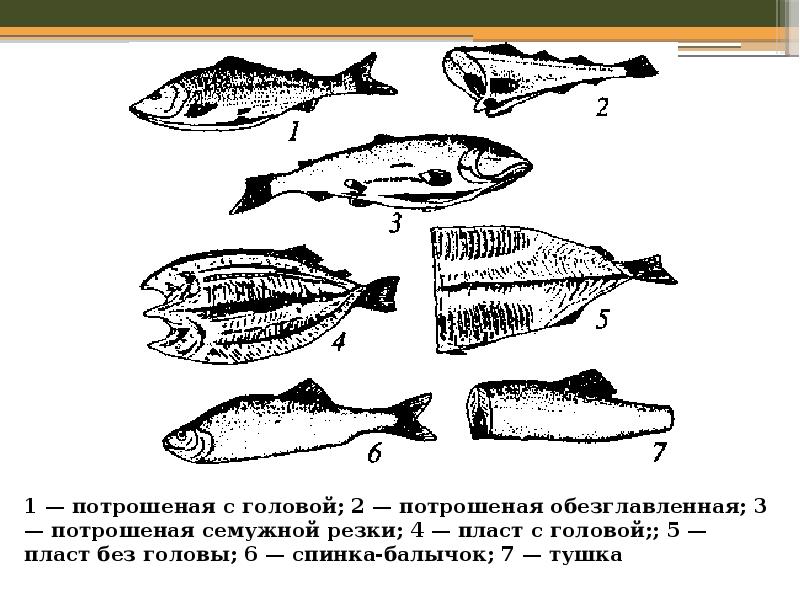 Схема разделки рыбы с костным скелетом