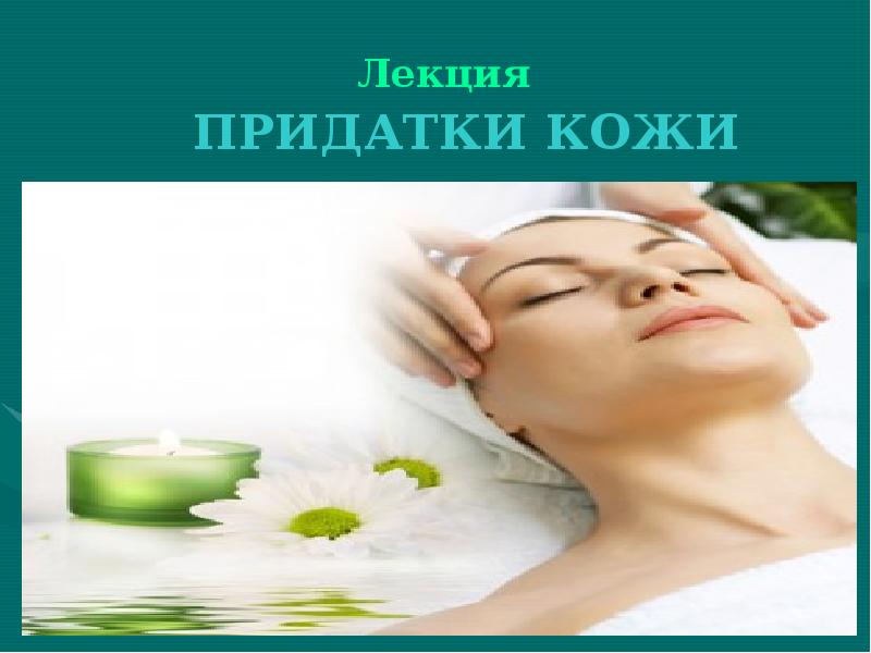 Лекция
ПРИДАТКИ КОЖИ Лекция
ПРИДАТКИ КОЖИ