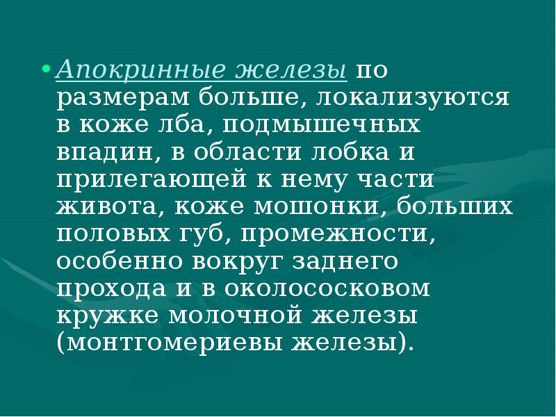 Апокринные железы по размерам больше, локализуются в коже лба, подмышечных впадин, Апокринные железы по размерам больше, локализуются в коже лба, подмышечных впадин,