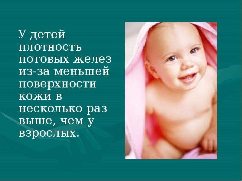 У детей плотность потовых желез из-за меньшей поверхности кожи в несколько У детей плотность потовых желез из-за меньшей поверхности кожи в несколько