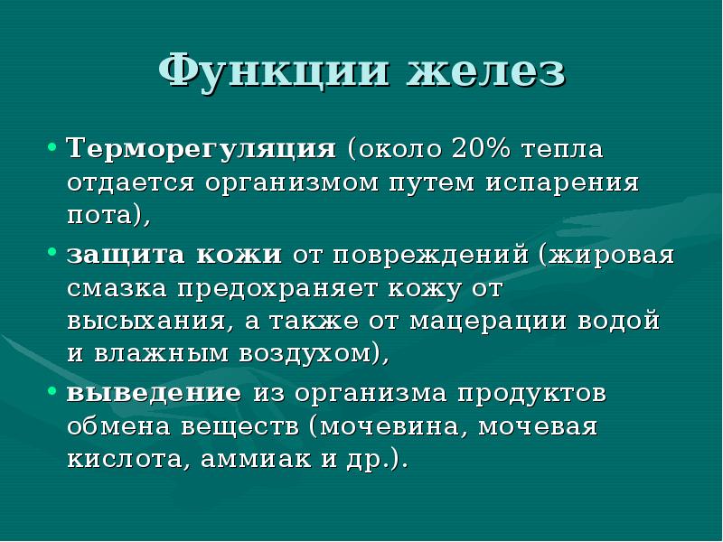 Функции желез
Терморегуляция (около 20% тепла отдается организмом путем испарения пота), Функции желез
Терморегуляция (около 20% тепла отдается организмом путем испарения пота),