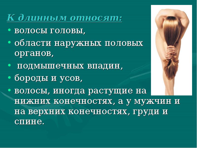 К длинным относят:
К длинным относят:
волосы головы,
К длинным относят:
К длинным относят:
волосы головы,